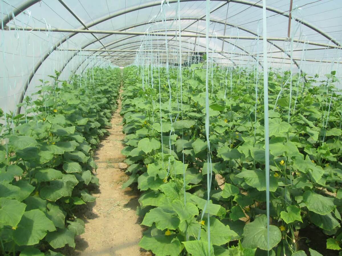 از توسعه همکاریهای فناورانه تا تدوین بودجه بر محور نظام دانشی از توسعه همکاریهای فناورانه تا تدوین بودجه بر محور نظام دانشی