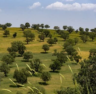 سفر خبری آنا به جایجای ایران؛ مروری بر مهمترین رویدادهای استانی + عکس و فیلم سفر خبری آنا به جایجای ایران؛ مروری بر مهمترین رویدادهای استانی + عکس و فیلم