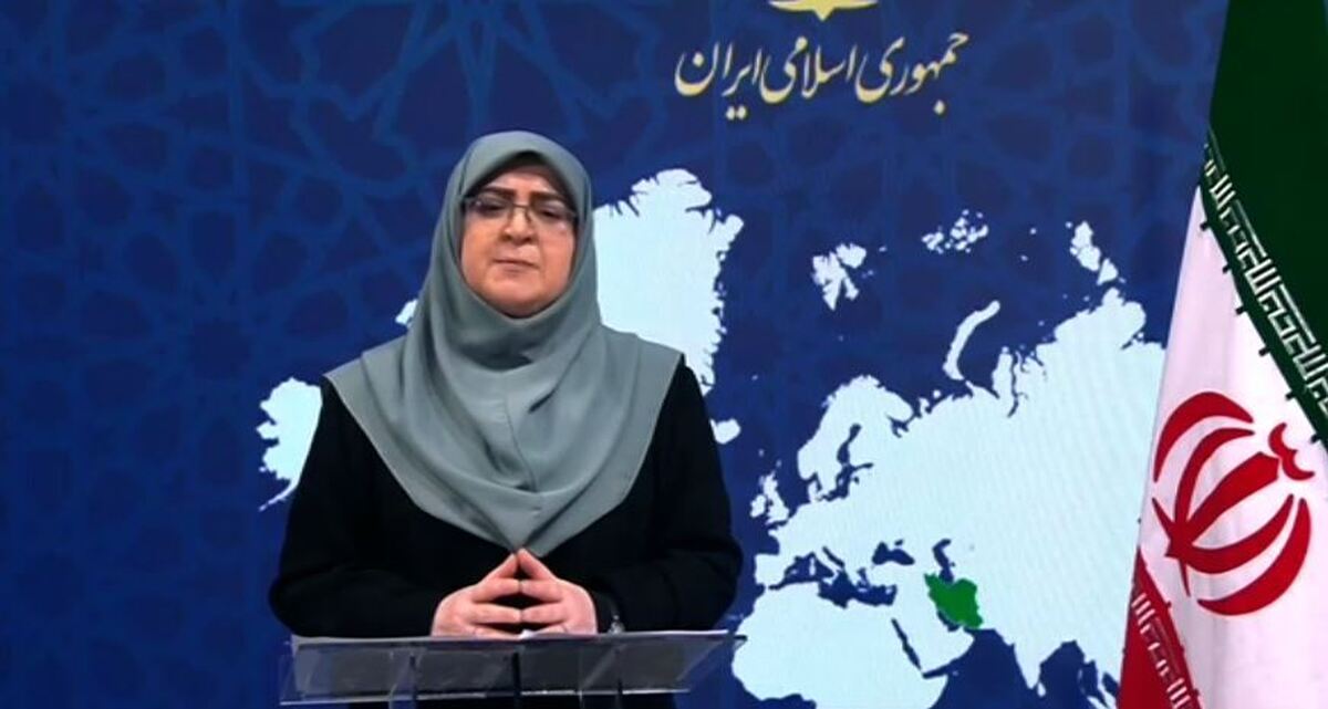 سخنگوی دولت: وضعیت پروازها از امروز به تدریج عادی می‌شود  عادی شدن وضعیت اینترنت