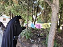 «درختان سخنگو» برای نخستین‌بار در دانشگاه آزاد