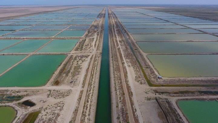 اخبار و رویدادهای استانی از نگاه آنا +فیلم و عکس اخبار و رویدادهای استانی از نگاه آنا +فیلم و عکس