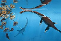 کشف یک «هیولای دریایی» جدید از دوره  ژوراسیک