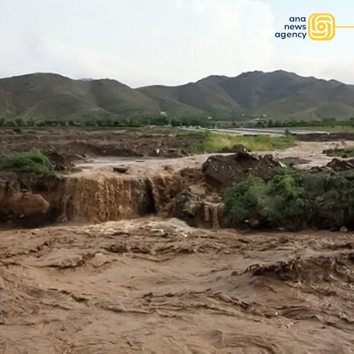 اخبار و رویدادهای استانی از نگاه آنا +فیلم و عکس اخبار و رویدادهای استانی از نگاه آنا +فیلم و عکس