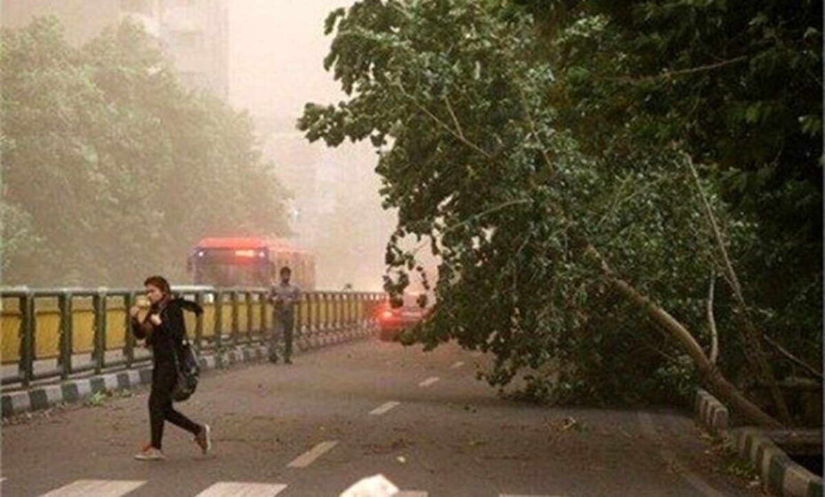 پیش‌بینی بارش‌های پراکنده و وزش باد شدید در چند استان کشور