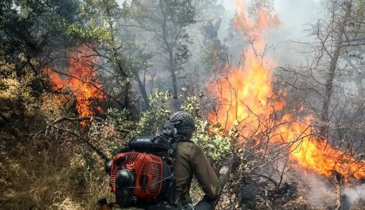 رویدادهای استانی از دریچه آنا