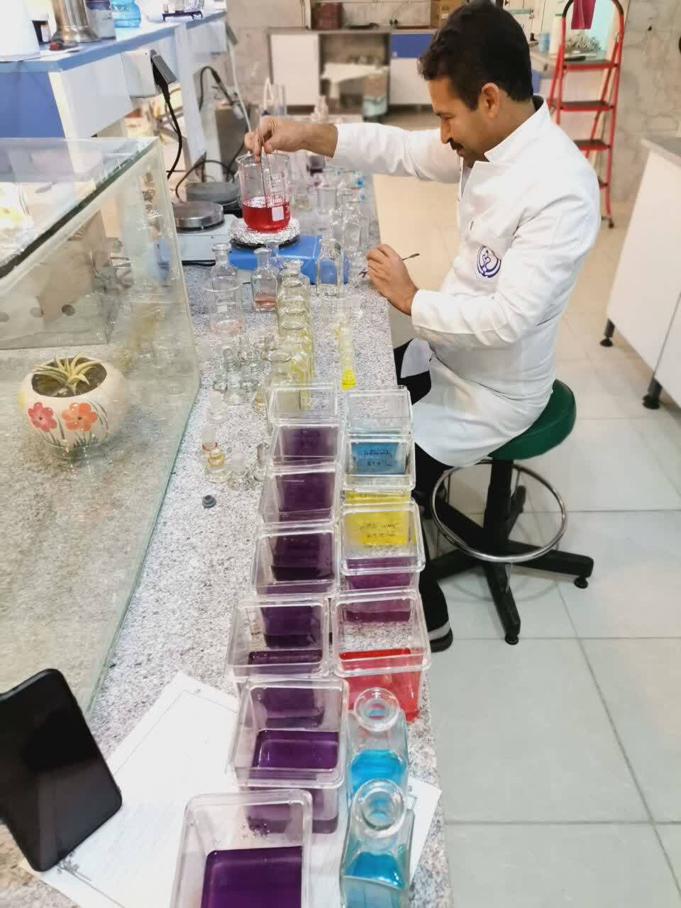 ایران صادرکننده بذر سیب‌زمینی به خاورمیانه و آفریقا می‌شود؛ ۵۰۰ شغل مستقیم در مناطق محروم با طرح توسعه بذر سیب‌زمینی