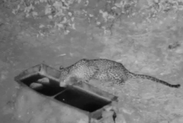 ایران در قاب آنا؛ روایتی از رویدادهای استانی + فیلم و عکس ایران در قاب آنا؛ روایتی از رویدادهای استانی + فیلم و عکس