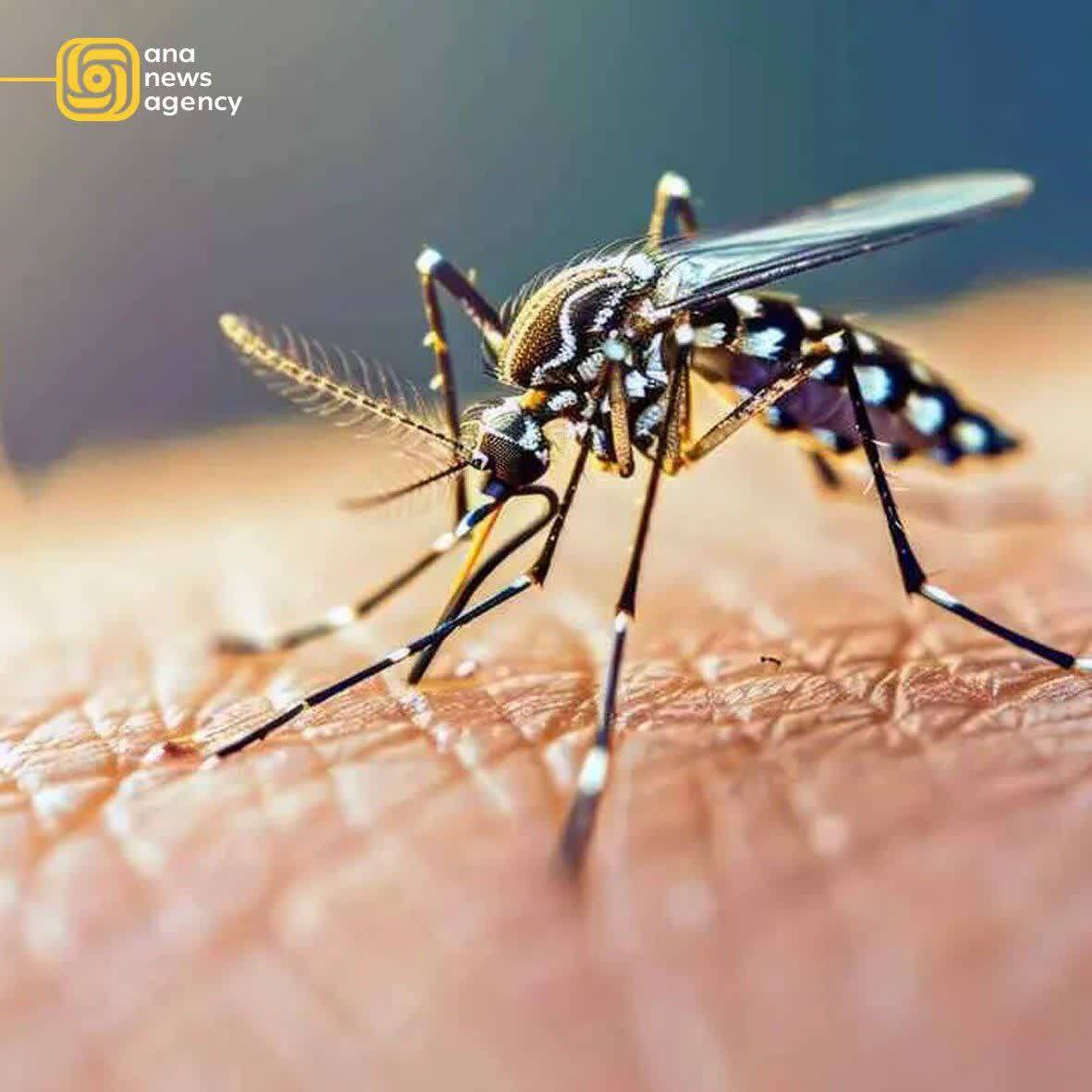 اخبار و رویدادهای استانی از نگاه آنا +فیلم و عکس اخبار و رویدادهای استانی از نگاه آنا +فیلم و عکس