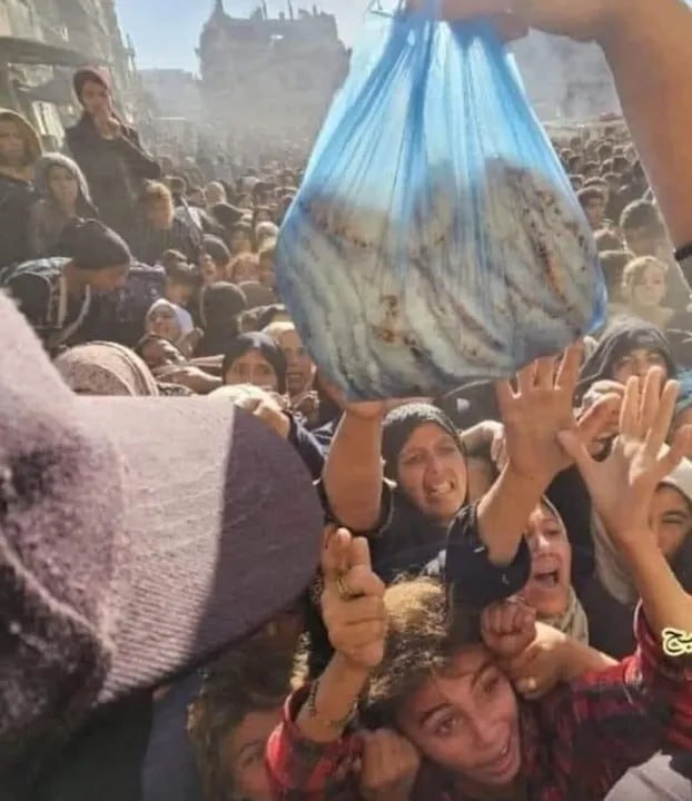 «ما یک قدم با مرگ فاصله داریم»؛ سوزاندن هنر در آتش گرسنگی غزه