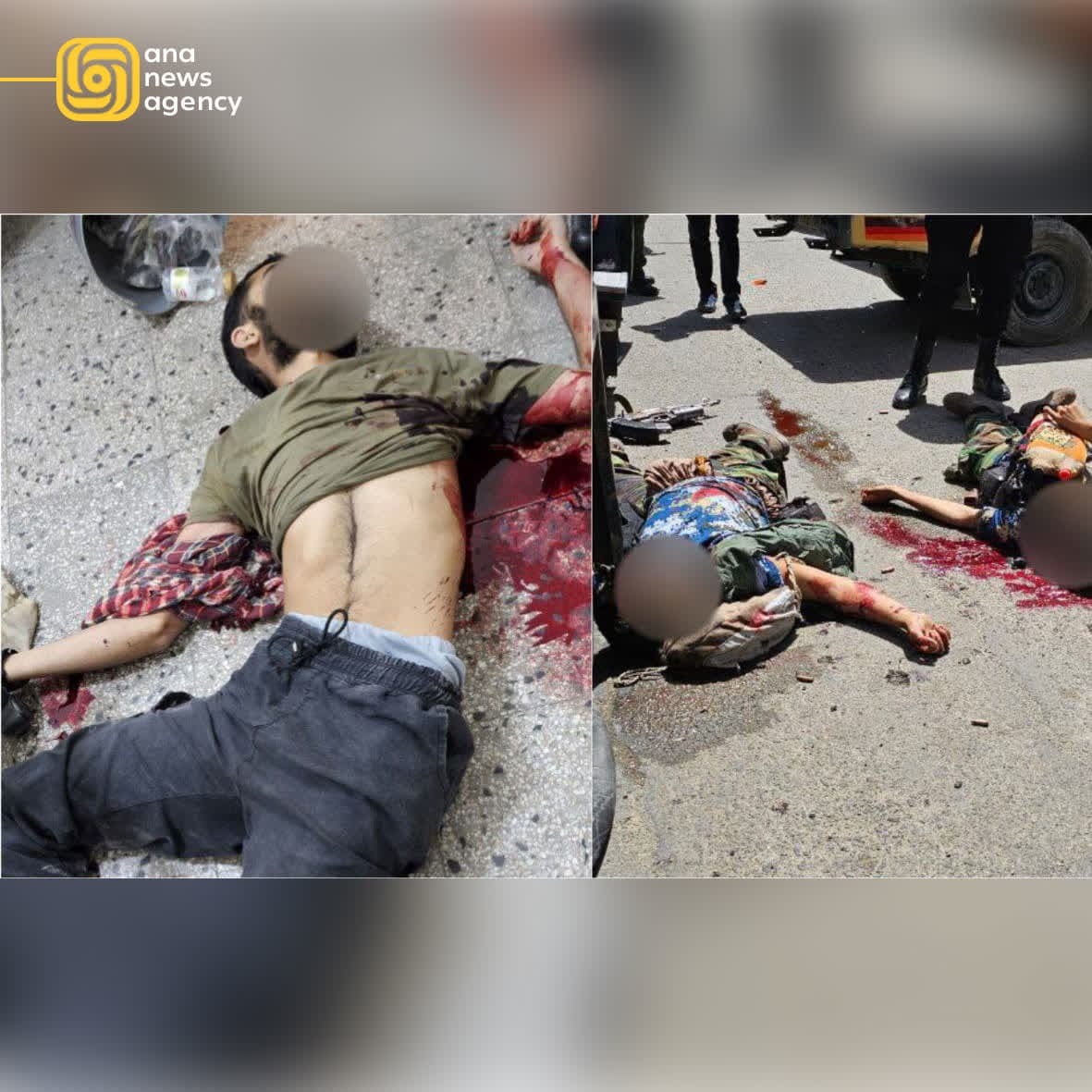 اخبار و رویدادهای استانی از نگاه آنا +عکس اخبار و رویدادهای استانی از نگاه آنا +عکس