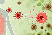 لوبیا به داد انسان می‌رسد