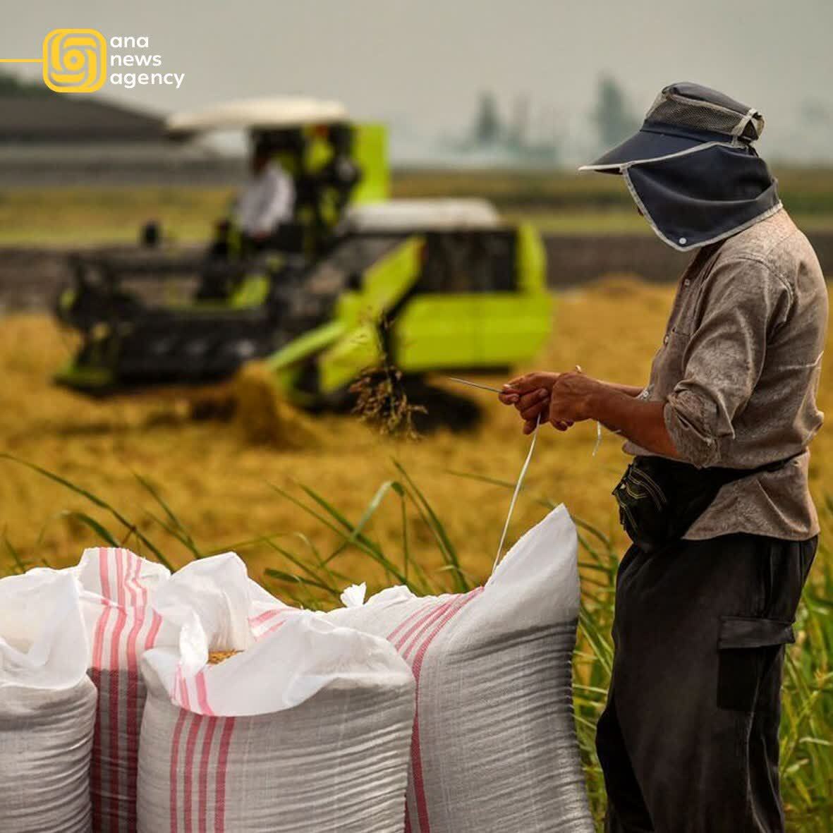 قققققققققق