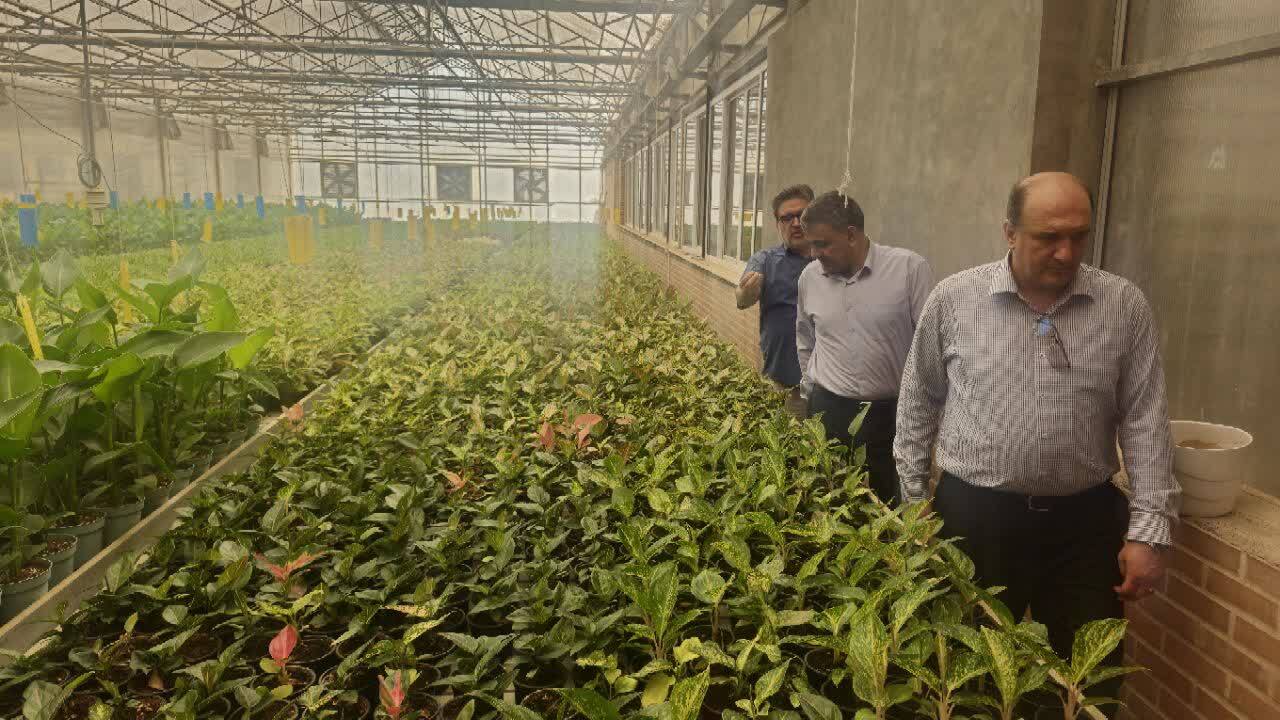 پیوند دانشگاه و بازار کار با رویکرد فناورانه؛ اهمیت تجربه عملی برای دانشجویان کشاورزی پیوند دانشگاه و بازار کار با رویکرد فناورانه؛ اهمیت تجربه عملی برای دانشجویان کشاورزی