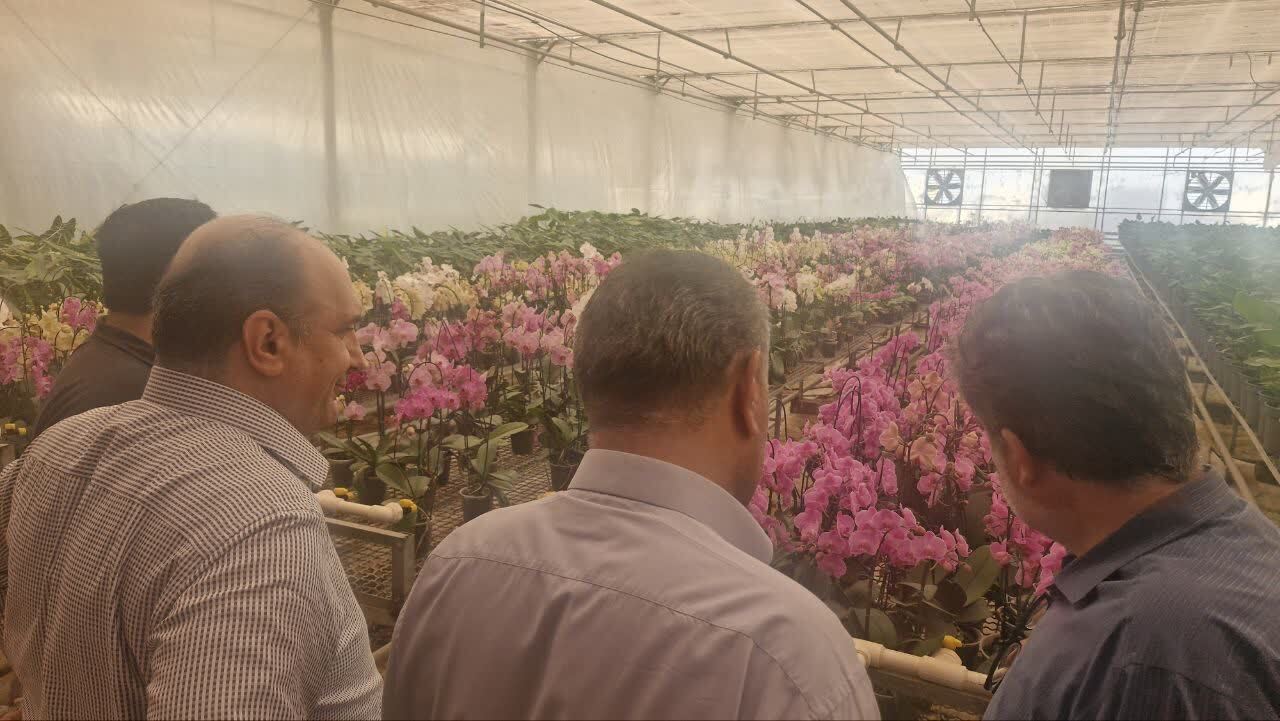 پیوند دانشگاه و بازار کار با رویکرد فناورانه؛ اهمیت تجربه عملی برای دانشجویان کشاورزی پیوند دانشگاه و بازار کار با رویکرد فناورانه؛ اهمیت تجربه عملی برای دانشجویان کشاورزی