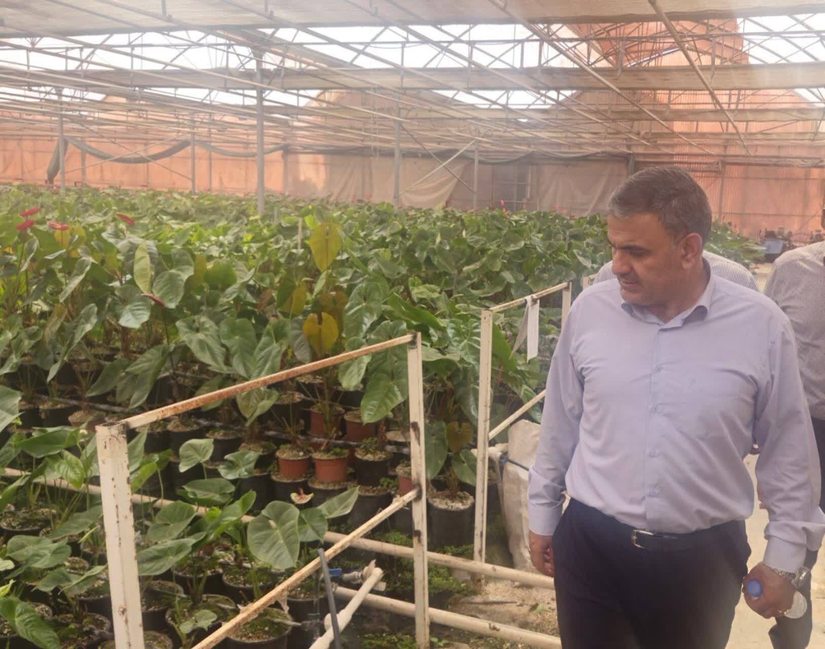 پیوند دانشگاه و بازار کار با رویکرد فناورانه؛ اهمیت تجربه عملی برای دانشجویان کشاورزی پیوند دانشگاه و بازار کار با رویکرد فناورانه؛ اهمیت تجربه عملی برای دانشجویان کشاورزی