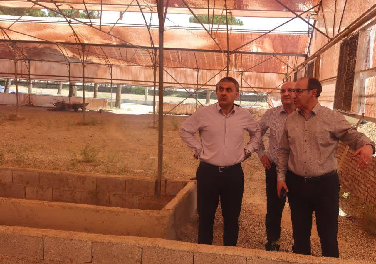 پیوند دانشگاه و بازار کار با رویکرد فناورانه؛ اهمیت تجربه عملی برای دانشجویان کشاورزی پیوند دانشگاه و بازار کار با رویکرد فناورانه؛ اهمیت تجربه عملی برای دانشجویان کشاورزی