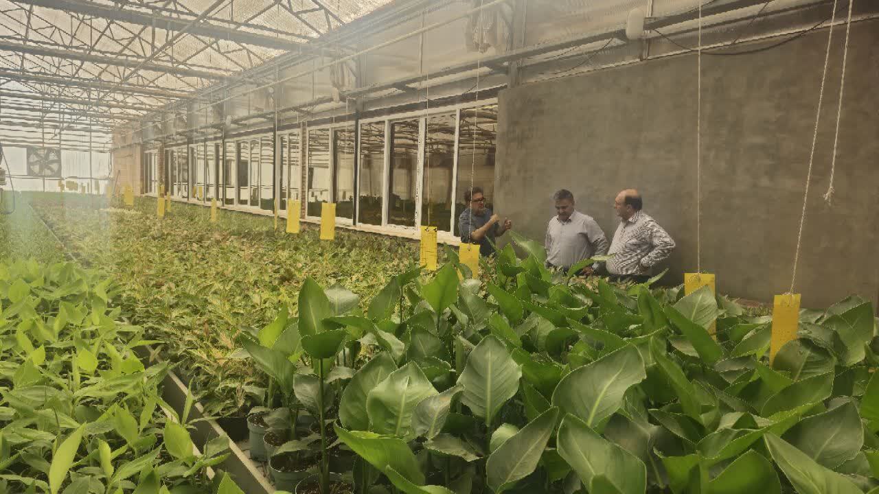 پیوند دانشگاه و بازار کار با رویکرد فناورانه؛ اهمیت تجربه عملی برای دانشجویان کشاورزی پیوند دانشگاه و بازار کار با رویکرد فناورانه؛ اهمیت تجربه عملی برای دانشجویان کشاورزی