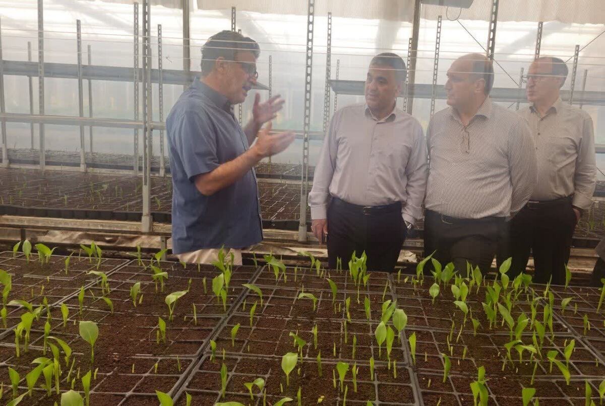 پیوند دانشگاه و بازار کار با رویکرد فناورانه / کلاس درس با طعم صنعت پیوند دانشگاه و بازار کار با رویکرد فناورانه / کلاس درس با طعم صنعت