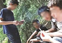 «گل» و «حشیش» مهمانان ناخوانده‌ای که ماندگار می‌شوند/ خانواده؛ عامل حیاتی نجات فرزندان