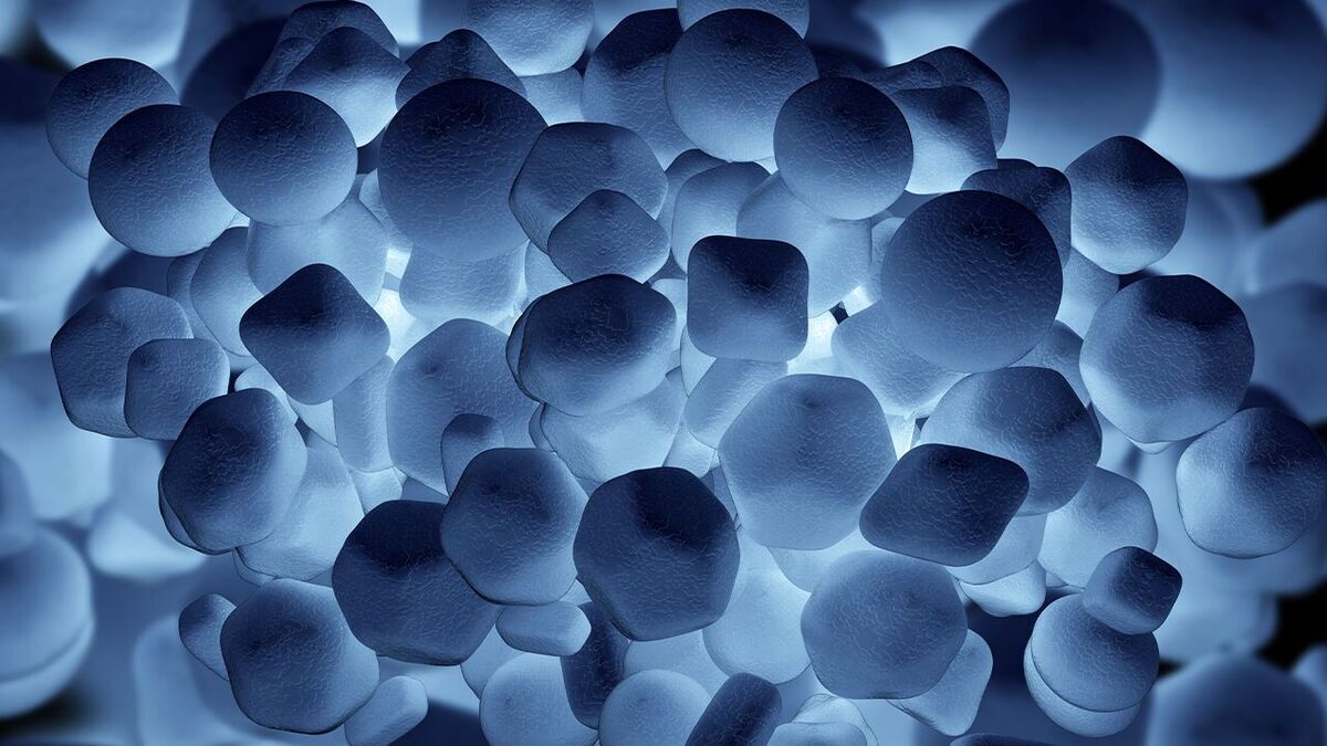 بسته خبری دانشگاه آزاد//////////////////