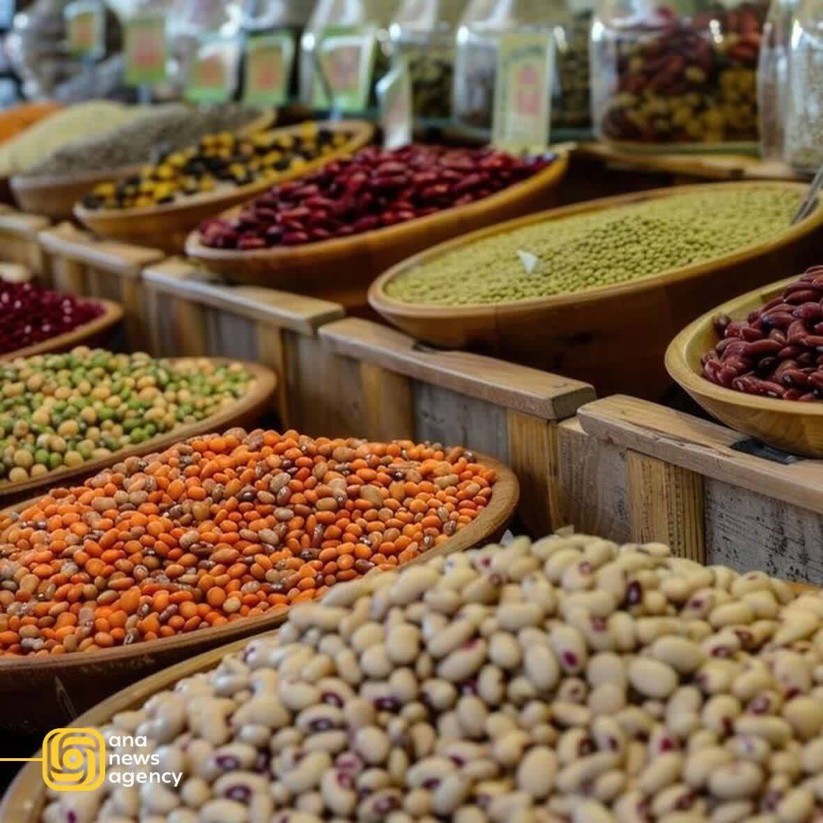 اخبار و رویدادهای استانی از نگاه آنا