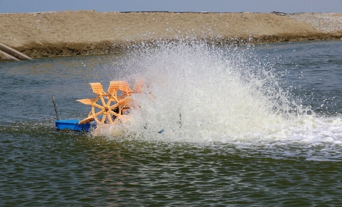 از چگونگی فتح کیهان توسط دانش‌آموزان ایرانی تا آزمونی به نام «ولایتمداری»