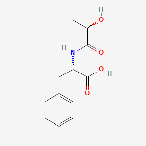 کشف راز خاموشی گرسنگی در بدن