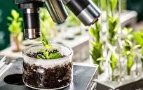 اخذ مجوز بهره‌برداری از کلینیک گیاه پزشکی دانشگاه آزاد یزد