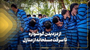 از دزدیدن گوشواره‌های دختربچه‌ها در امامزاده صالح (ع) تا سرقت مسلحانه از منازل