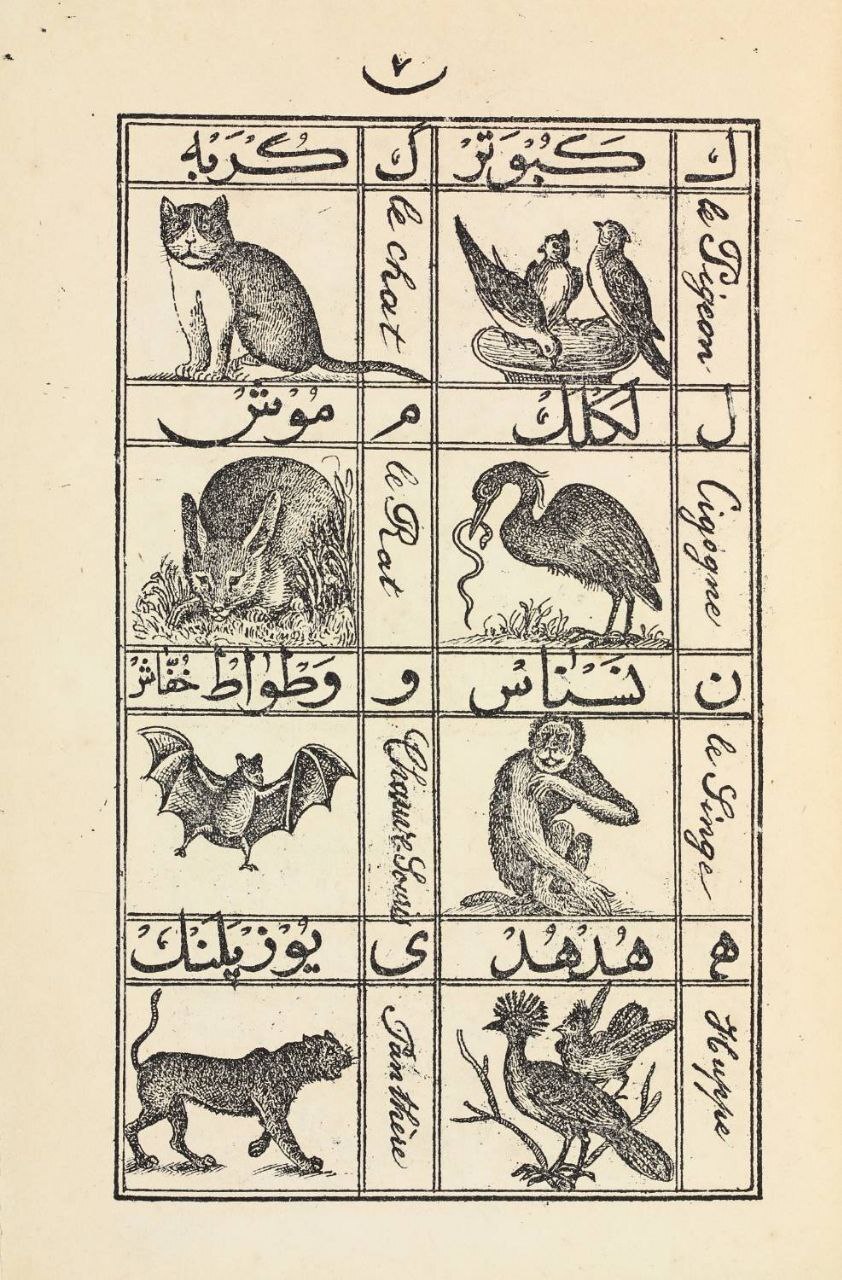 میراث مدرسه به روایت کتابخانه و موزه ملی ملک میراث مدرسه به روایت کتابخانه و موزه ملی ملک