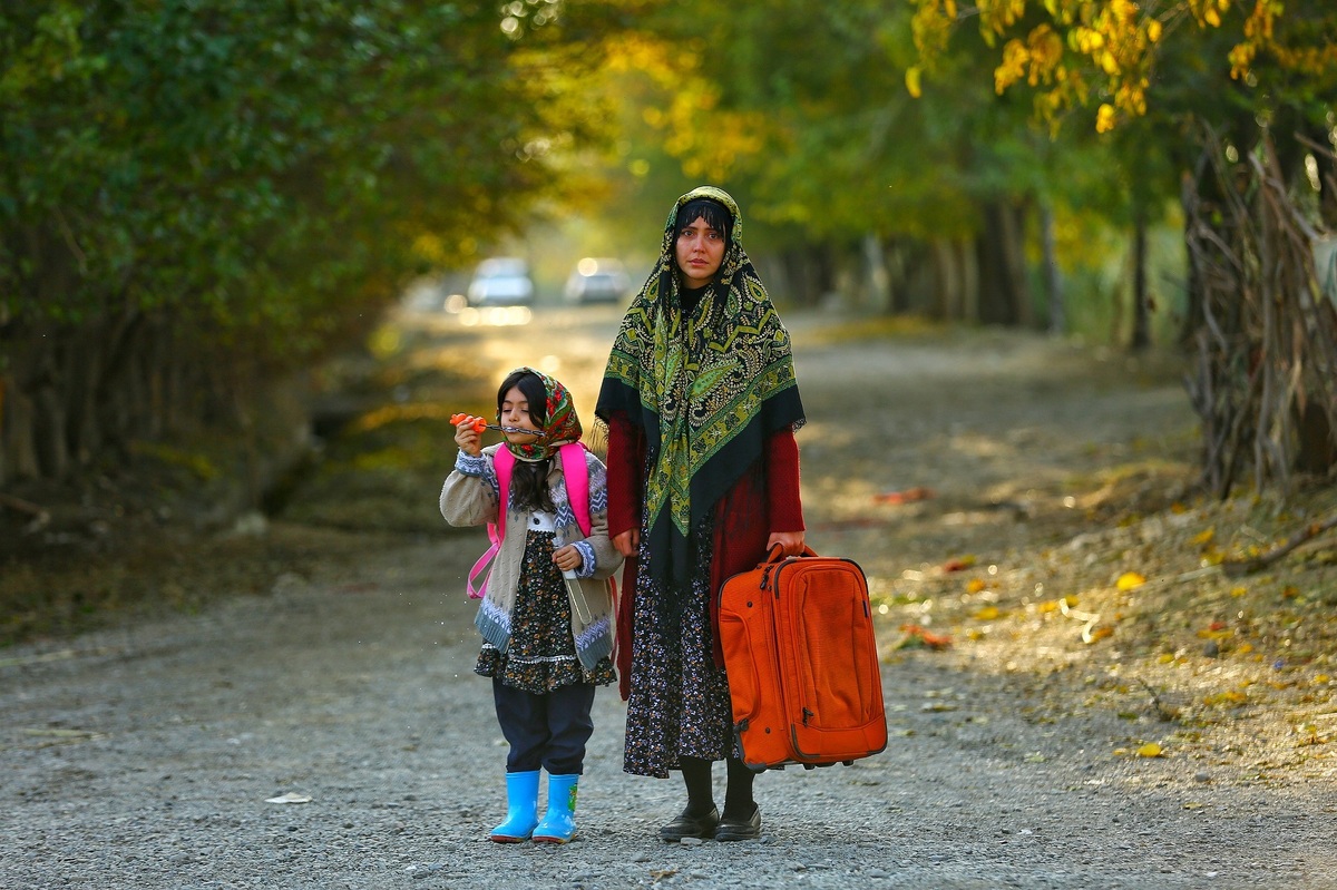 آغاز اکران دانشگاهی فیلم سینمایی «ناتوردشت»   تیزر جدید رونمایی شد +فیلم