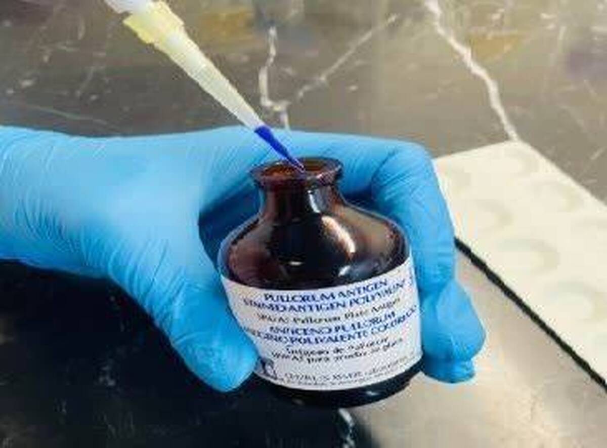 موفقیت پژوهشگران دانشگاه تهران در تشخیص بیماری پولوروم طیور