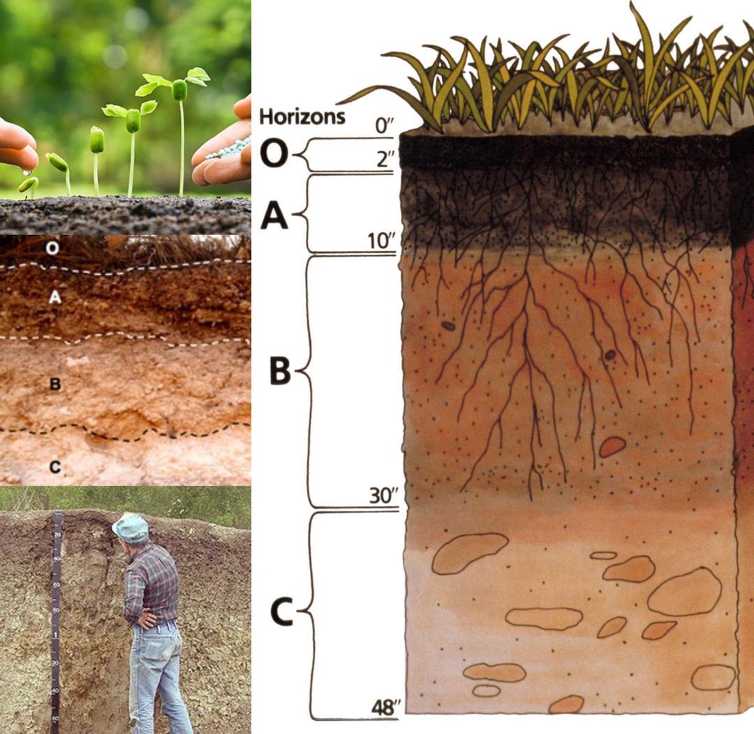 زنگ خطر برای آینده کشاورزی و محیط‌زیست به صدا درآمد؛ کاهش دانشجو در رشته خاک‌شناسی
