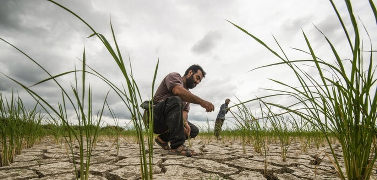 برنامه‌های مقابله با خشکسالی پاییز  پر بارش‌ترین استان‌های شمالی در سایه خشکسالی بی سابقه