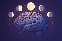 مغز زنان در روز‌های قاعدگی بازسازی می‌شود