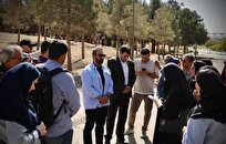 شهردار منطقه ۲۲: درختان آلوده بدون قطع‌کردن جابجا شدند