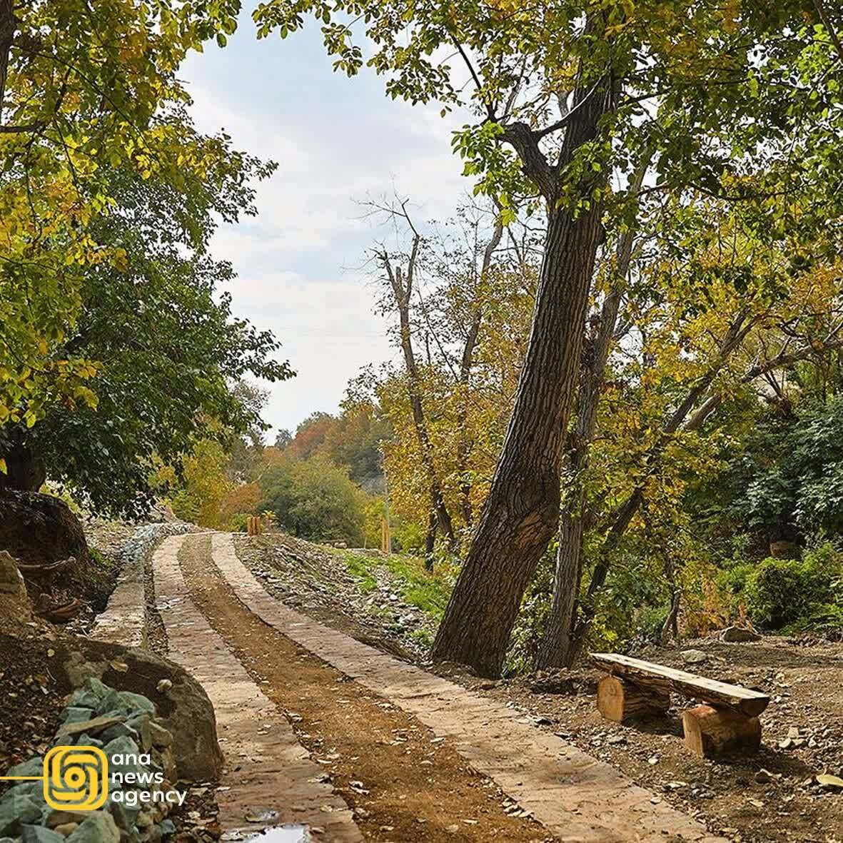 آخرین رویدادهای استانی از نگاه آنا آخرین رویدادهای استانی از نگاه آنا