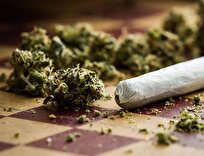 «کمیکال» غالبا در میان جوانان شایع است