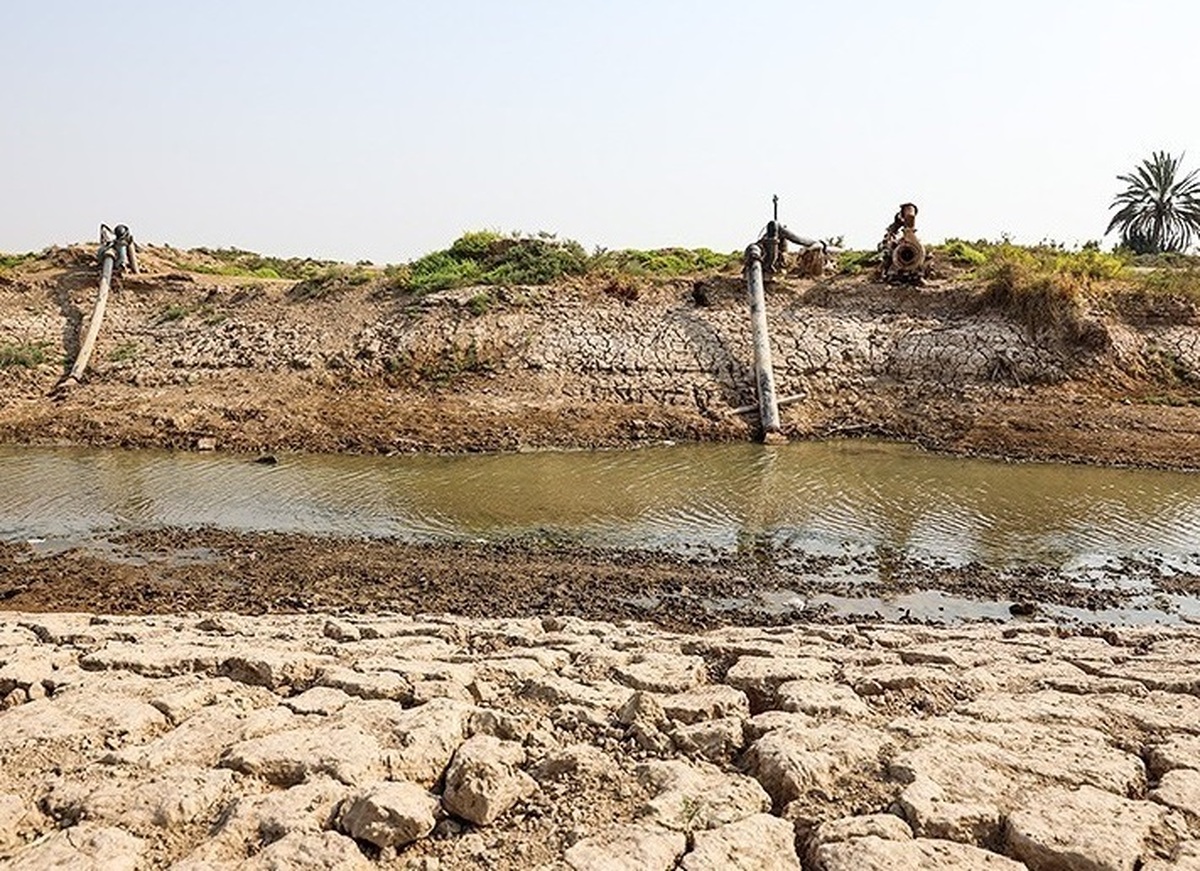 زوال سالانه ۱۳ هزار هکتار باغات پسته  پرمصرف‌ها هزینه مصرف خود را بر دوش کم‌مصرف‌ها می‌اندازند!