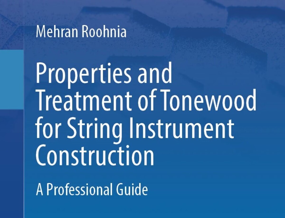 انتشار کتاب جدیدی از استاد دانشگاه آزاد اسلامی توسط انتشارات بین‌المللی اسپرینگر نیچر