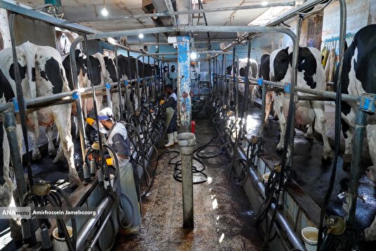 رفع محرومیت با تولید ملی