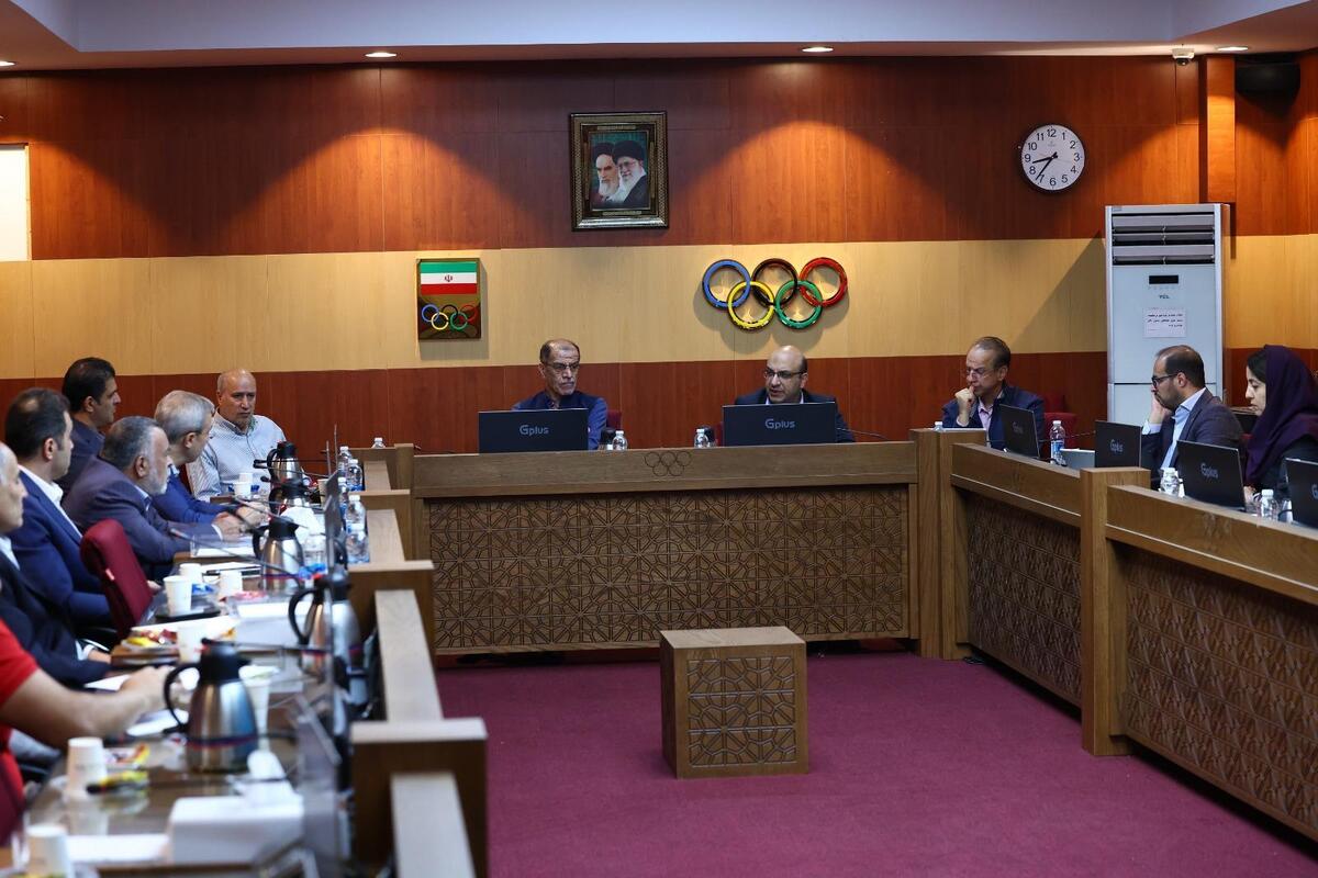 علی‌نژاد خبر داد: آغاز مذاکرات با کمیته بین‌المللی المپیک در خصوص صدور ویزای آمریکا برای ورزشکاران ایرانی