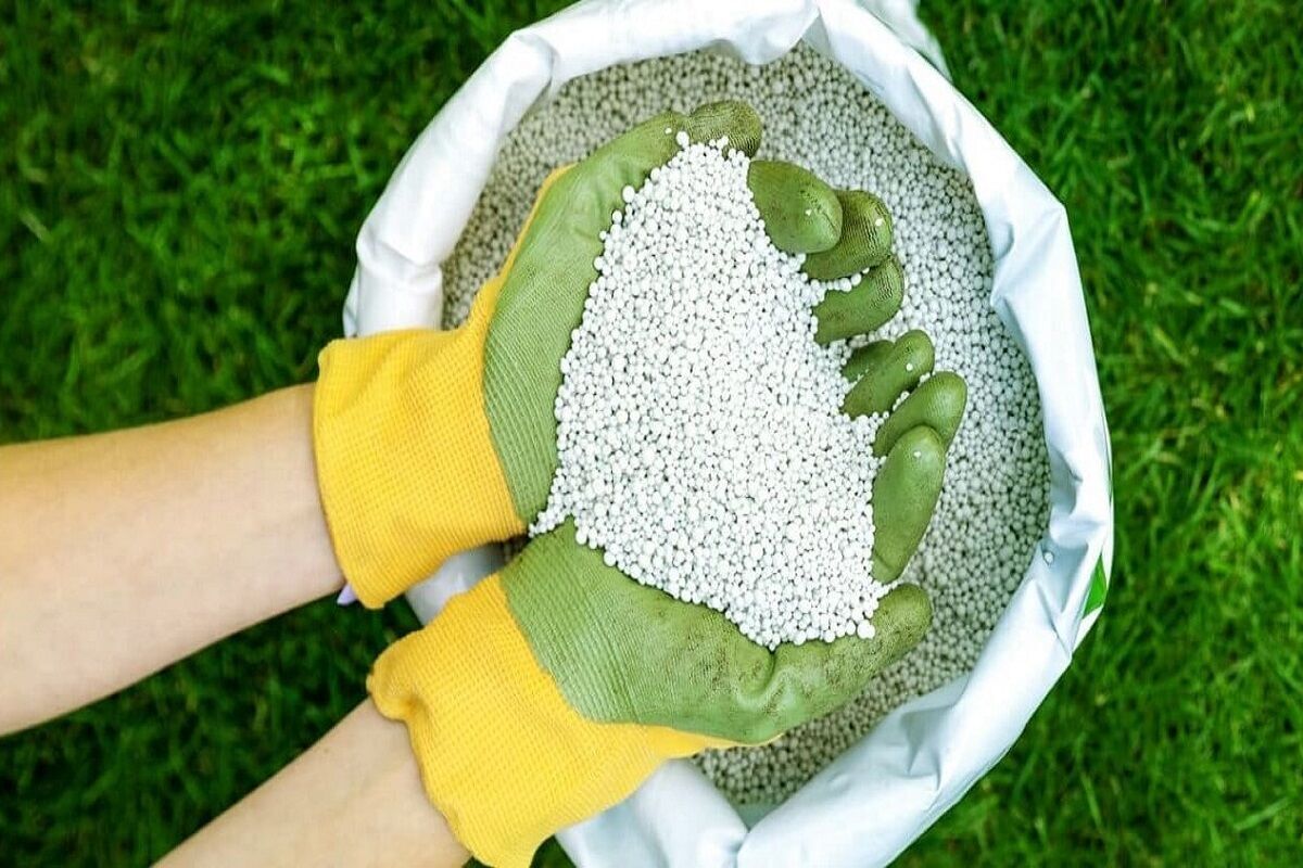 توزیع ۱۶ هزار تن انواع کود‌های کشاورزی در استان تهران