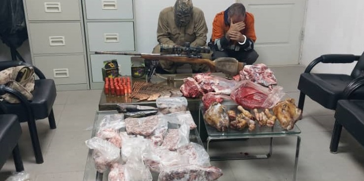 کشف لاشه ۴ رأس حیوان و ۱۱۷ فشنگ جنگی