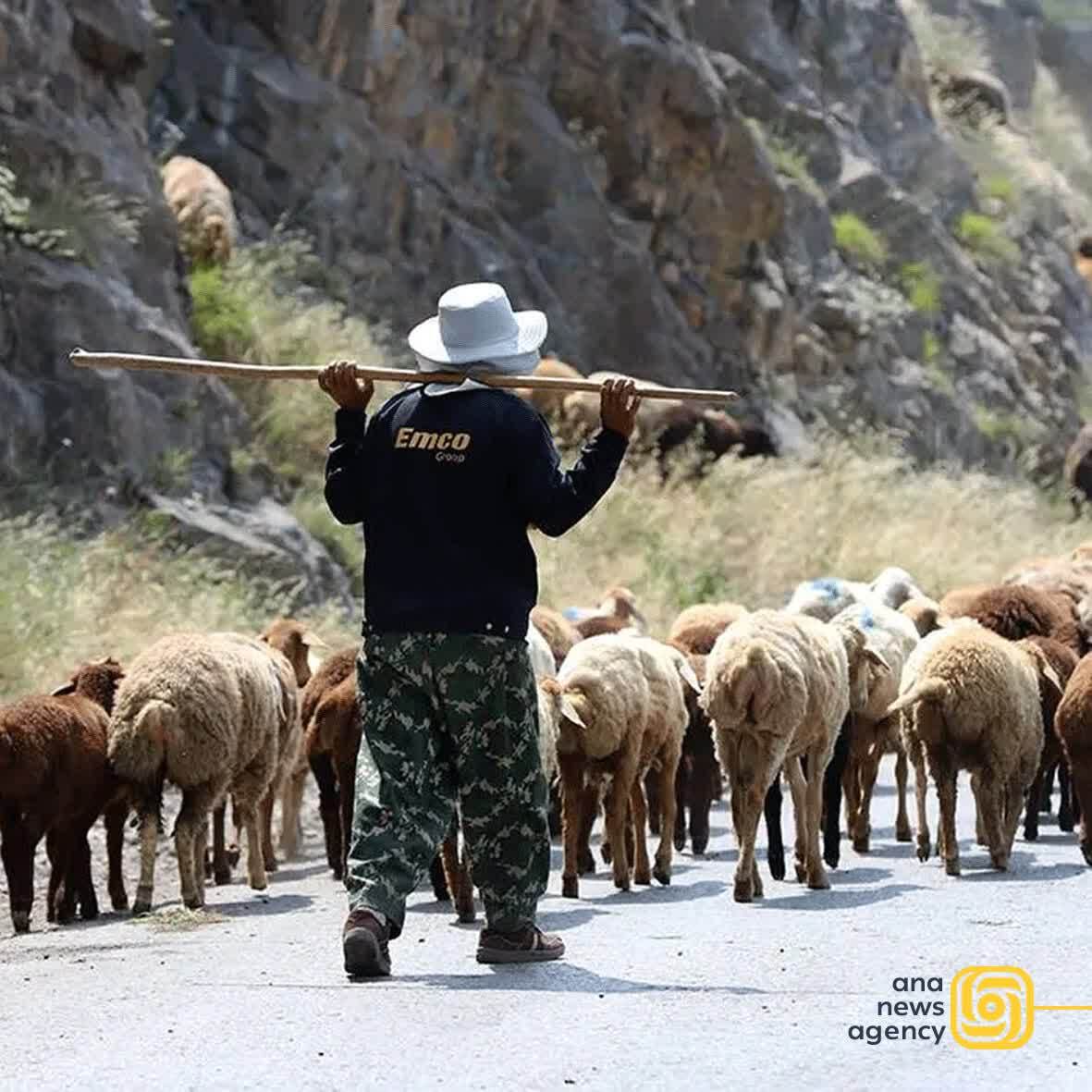 جدیدترین رویدادهای استانی؛ مروری بر اخبار روز ایران
