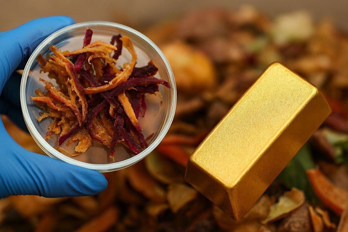 کشف گنج پنهان در ضایعات غذایی