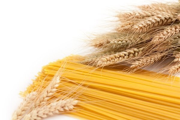 روایت پویایی ایران در قلب استان‌ها +فیلم و عکس