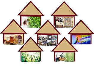 پتانسیل‌های پنهان کسب‌وکار‌های خانگی/ از تسهیلات ۳۰۰۰ میلیاردی تا عبور از ۲ میلیون مجوز