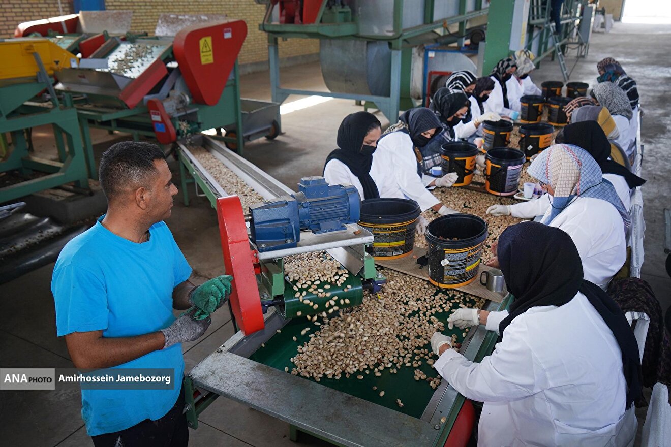 تولید برای محرومیت‌زدایی - باغ پسته