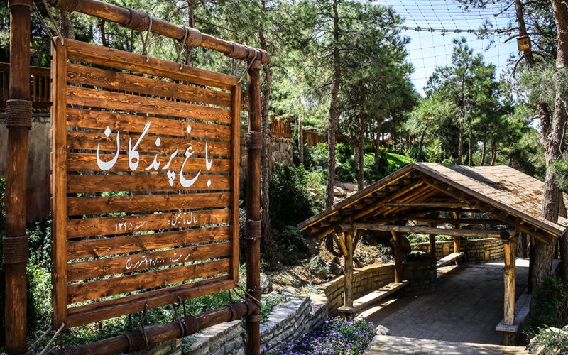 پنج پناهگاه خلوت در پاییز تهران/ از بام تا باغ؛ تهرانِ آرام را این‌جا پیدا کنید